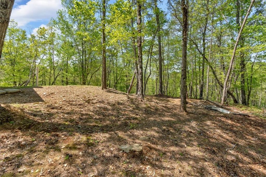 652 Anderson Lane, Ranger, Georgia image 33