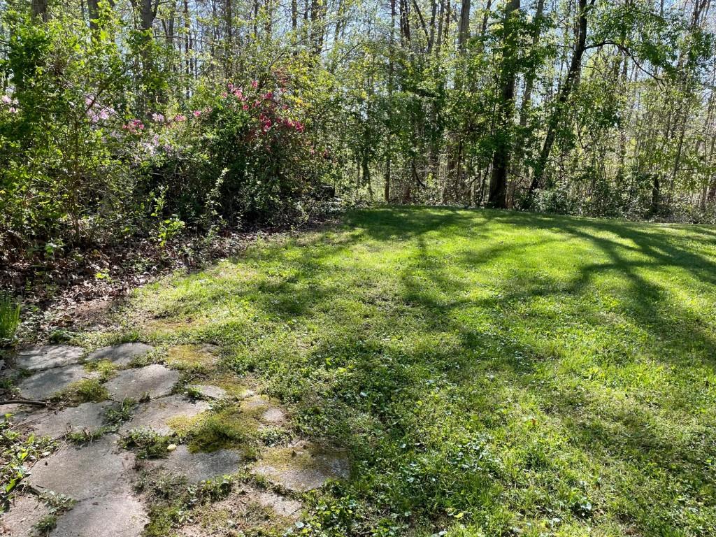 125 Mountain Laurel Circle, Dahlonega, Georgia image 21