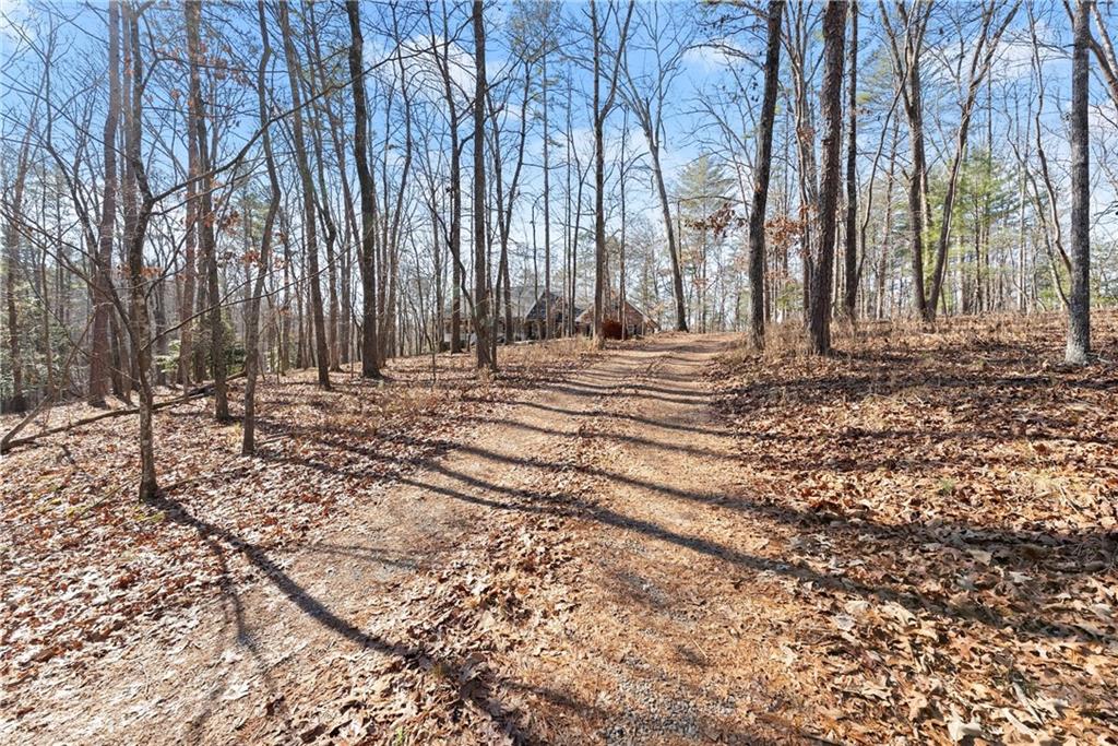 1323 River Flow Drive, Dahlonega, Georgia image 8