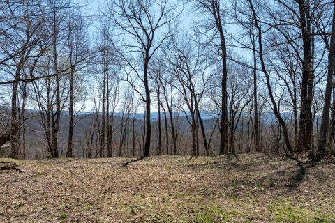 A home in Ellijay