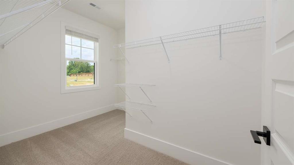 The Village at Sandy Plains - Residential