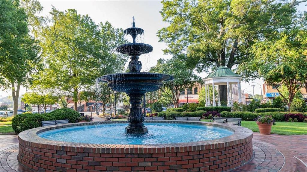 The Village at Sandy Plains - Residential