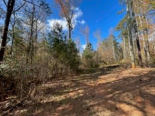 1647 Toonigh Road, Canton, Georgia image 3