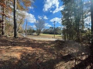 1647 Toonigh Road, Canton, Georgia image 5