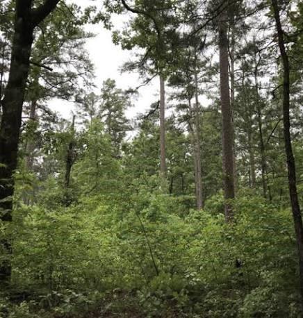Vacant Land For Sale - 5022 Austell Road<br/> Austell, GA 30106