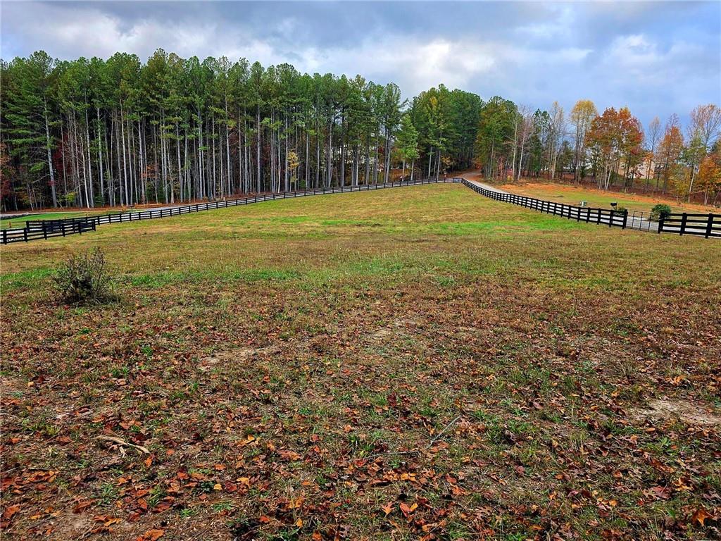 Back Trail, Cleveland, Georgia image 3