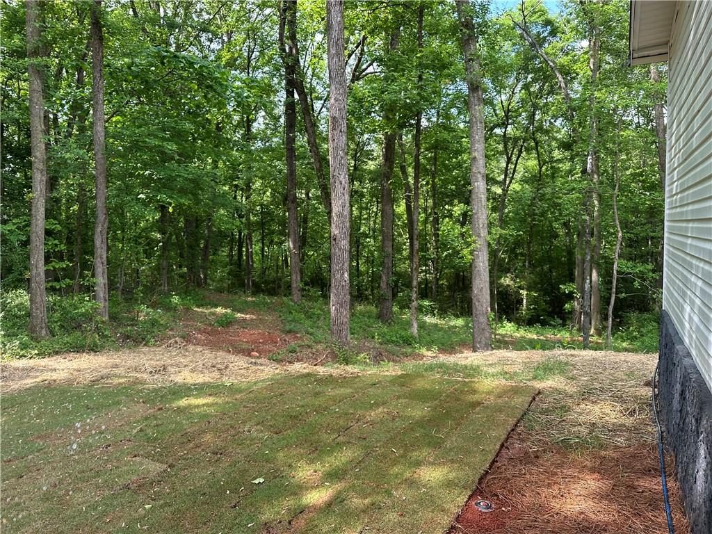 1188 Nails Creek Crossing, Royston, Georgia image 23