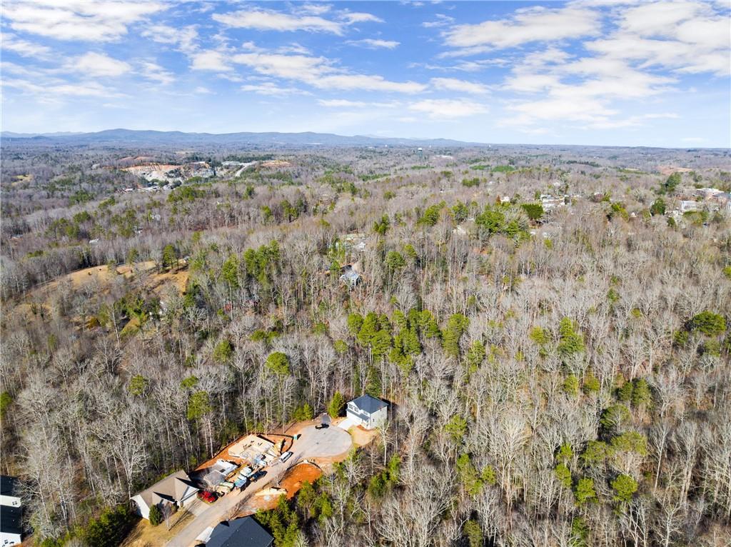 528 Wauka Drive, Demorest, Georgia image 43