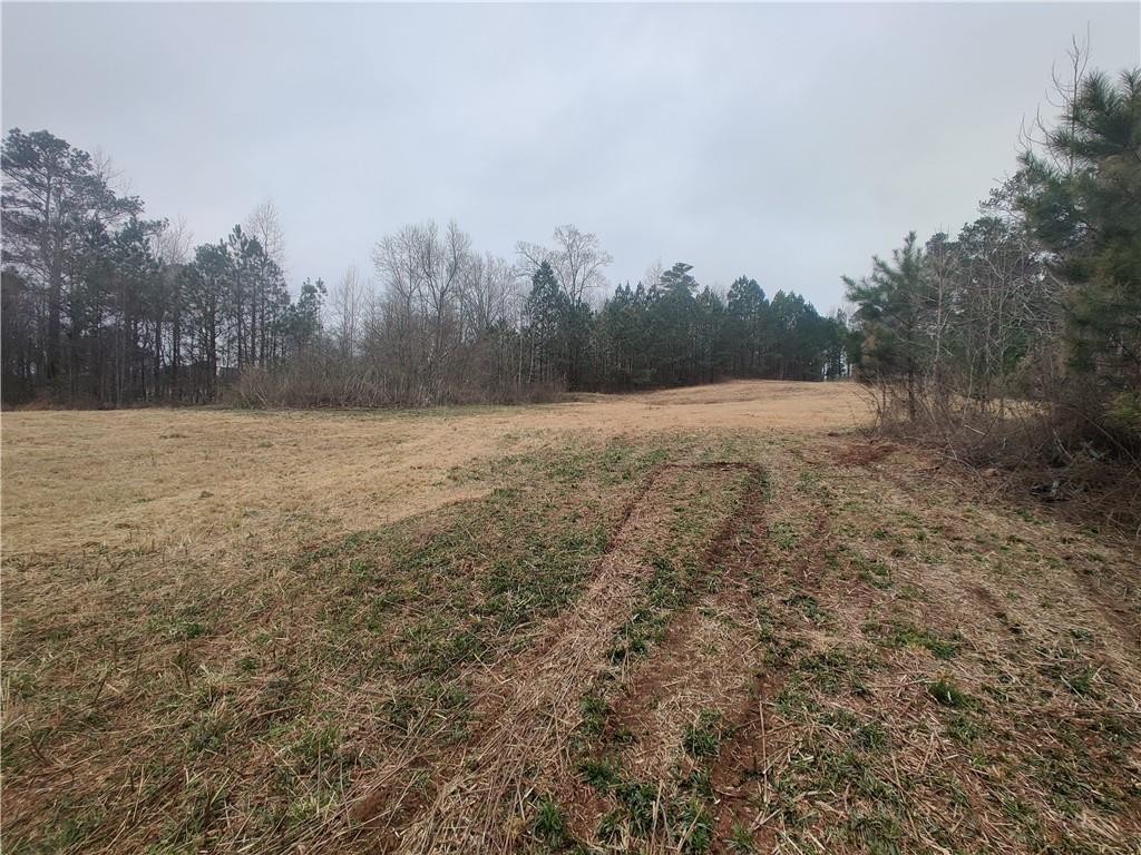 916 Tab Roberts Road