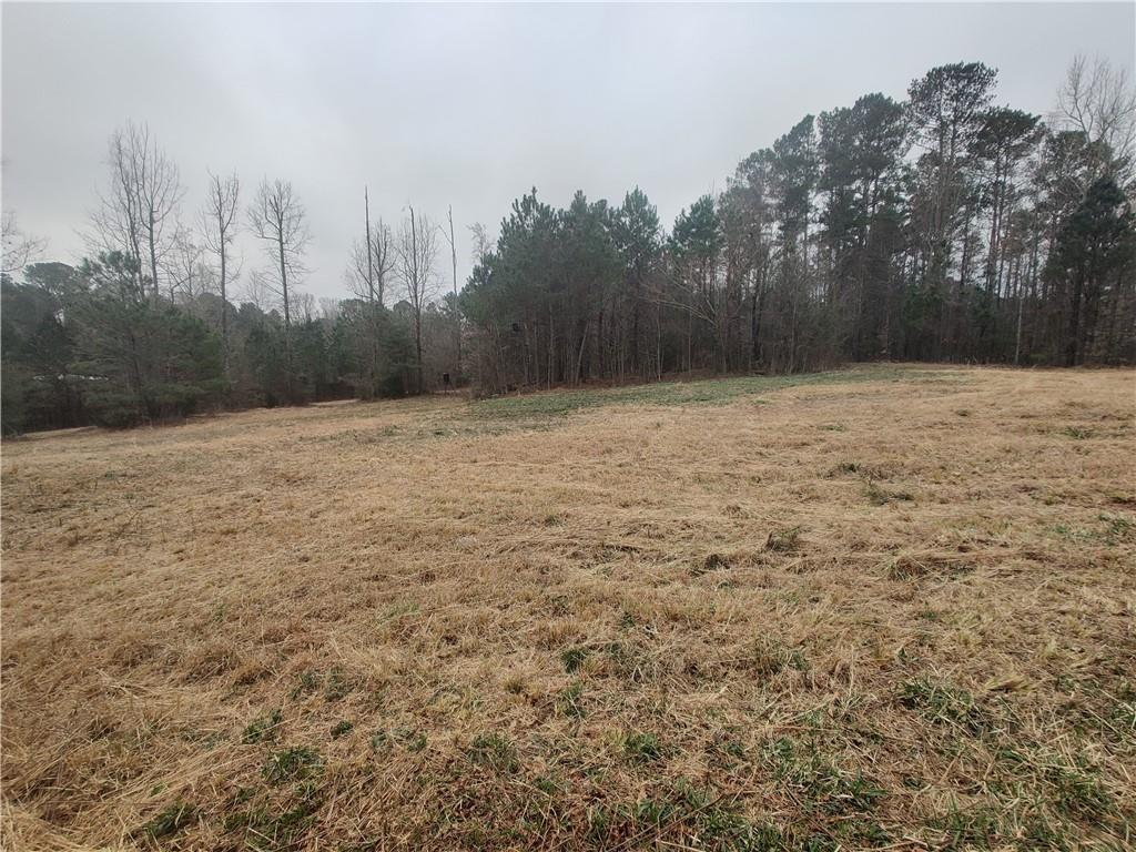 916 Tab Roberts Road