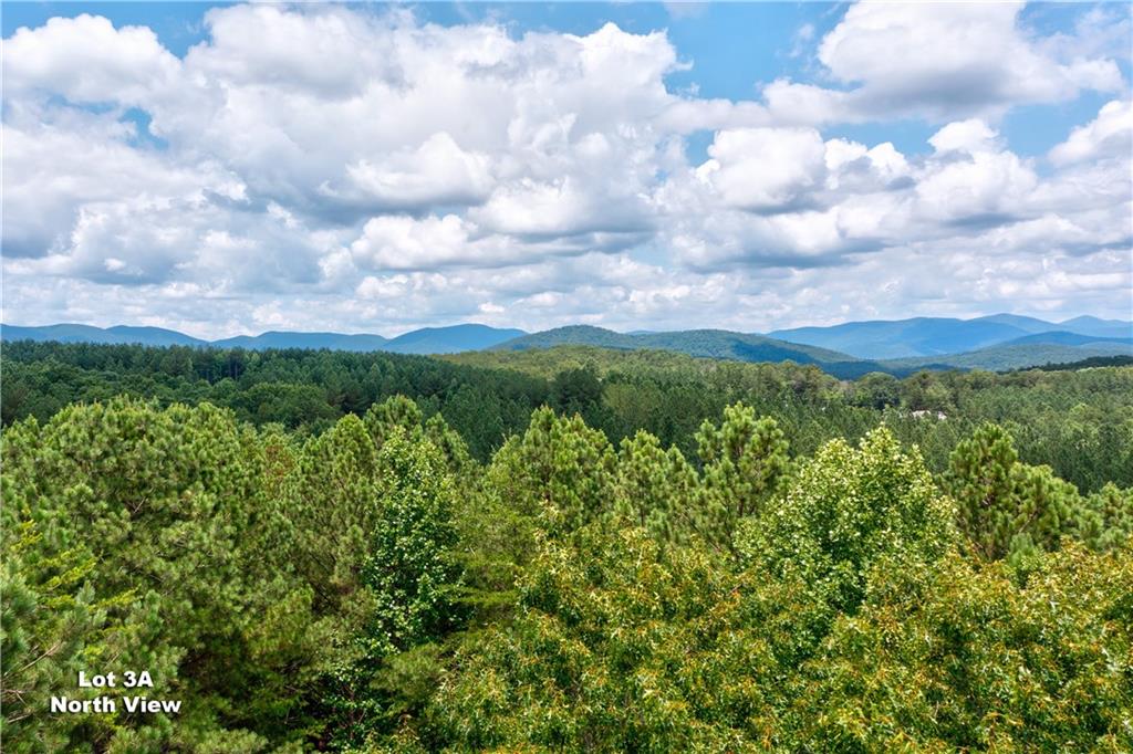 CREEK FRONT! HEAR FROM YOUR HOME. NO HOA, no crazy restrictions. End of the road privacy with a drive cut in & some cleared area already in place. Power and fiber available at the land! Looking to hear a noisy mountain creek from your back porch? This is that piece of heaven for you! Pictures can’t do it justice! Hundreds of feet of wide cascading creek line the back of this gentle & pristine 10.4-/+ acres. Mountain laurel galore, fern lined creek frontage, old road bed for an easy walk/ride to the waterside. This is everything that so many people want. Do you need a spot for a large barn or workshop? This is ready for a huge slab, so much useable land here. Qualifies for two houses, no restrictions on short term rentals. Also that highly sought after size that allows to be put into CUVA for huge tax savings for now if desired. Perfect for clearing for pasture with a beautiful homesite overlooking the creek bottom. But you can paint your picture as this is truly a blank canvas with so many possibilities. Don’t miss this rare opportunity. No mobiles, no commercial farming operations. Minutes to Dahlonega. Additional acreage available, owner financing opportunities, Broker/Owner. This is a new road name and will not map, this is not Freedom Trail.