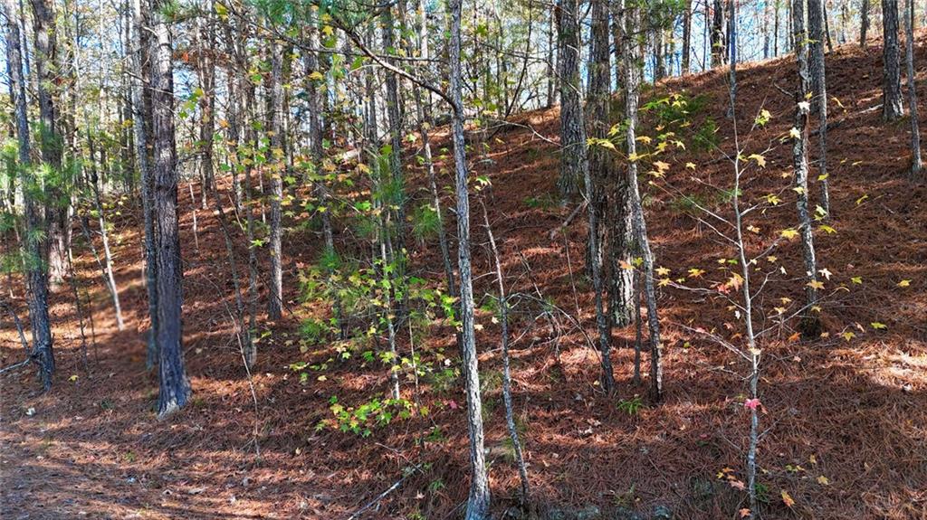 4189 Haralson Mill Road, Conyers, Georgia image 7