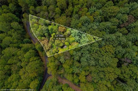 695 Satsuma Court Ellijay GA 30540