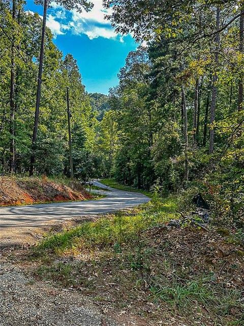 Trct 1 Lawrence Road Dawsonville GA 30534