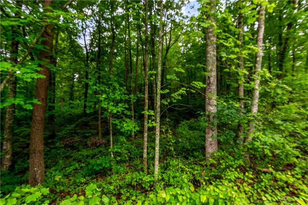 Lot 44 Harris Creek Drive, Ellijay, Georgia image 15