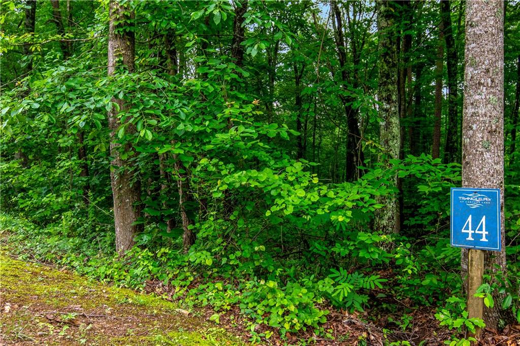 Lot 44 Harris Creek Drive, Ellijay, Georgia image 1