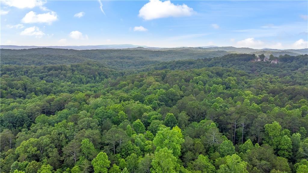 Lot 44 Harris Creek Drive, Ellijay, Georgia image 10