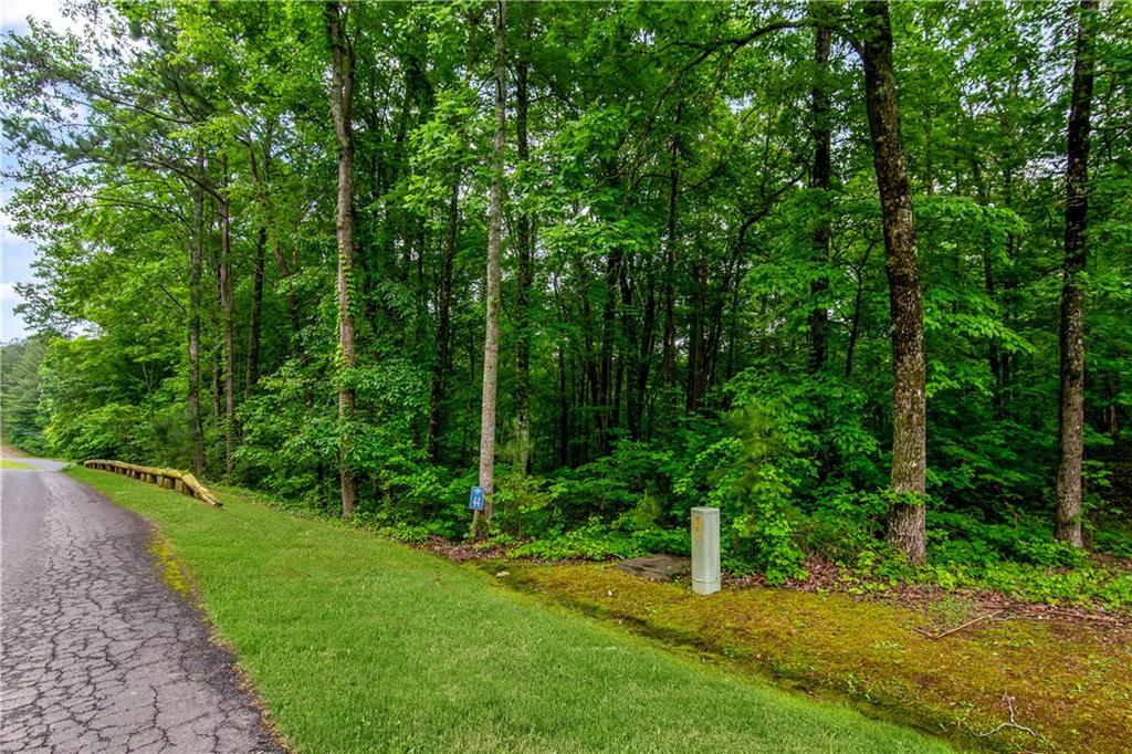 Lot 44 Harris Creek Drive, Ellijay, Georgia image 13