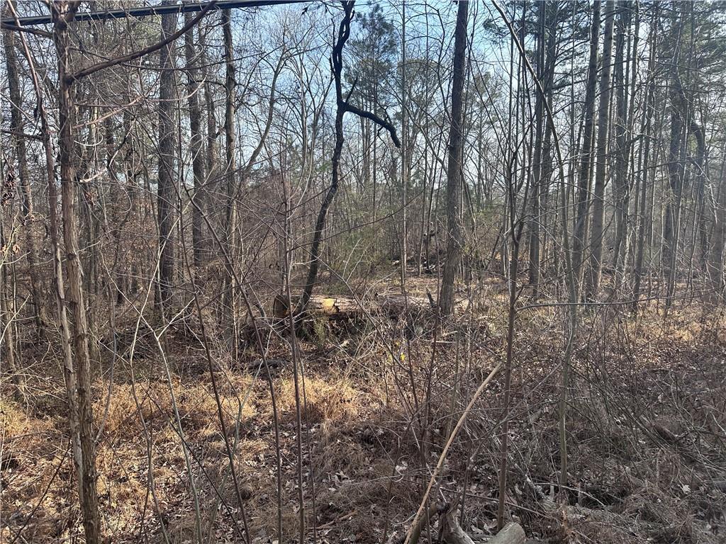 4386 Old Fairburn Road