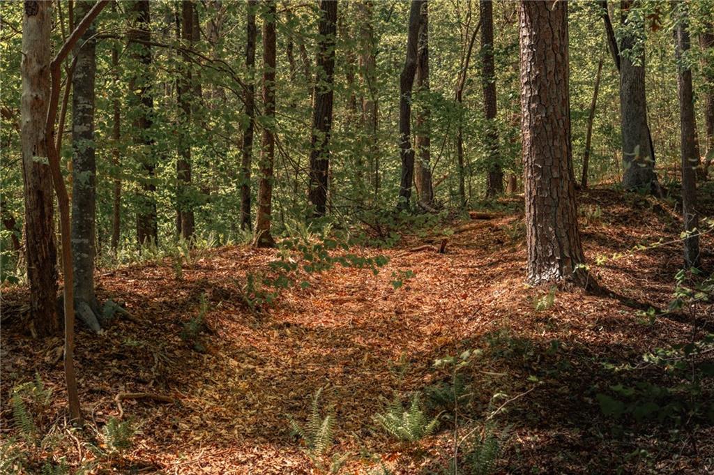 00 Hancock Mountain Trl