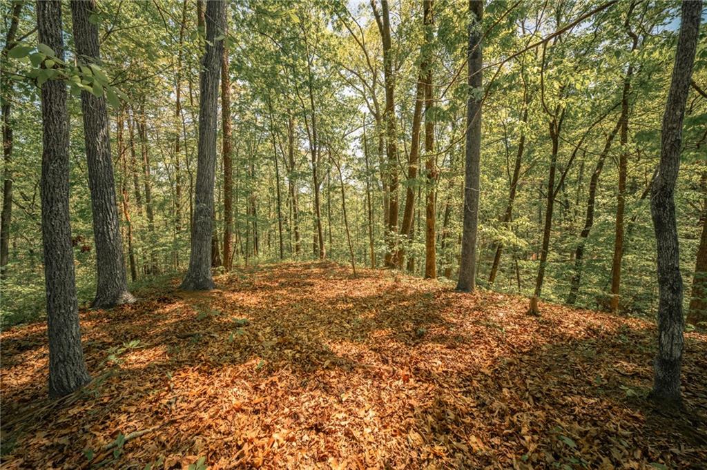 00 Hancock Mountain Trl