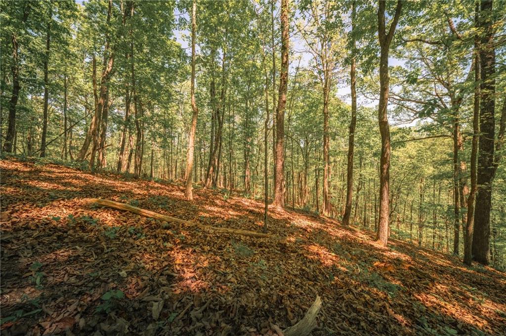 00 Hancock Mountain Trl