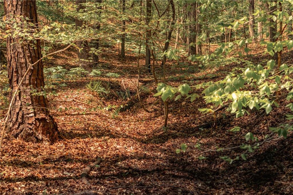 00 Hancock Mountain Trl