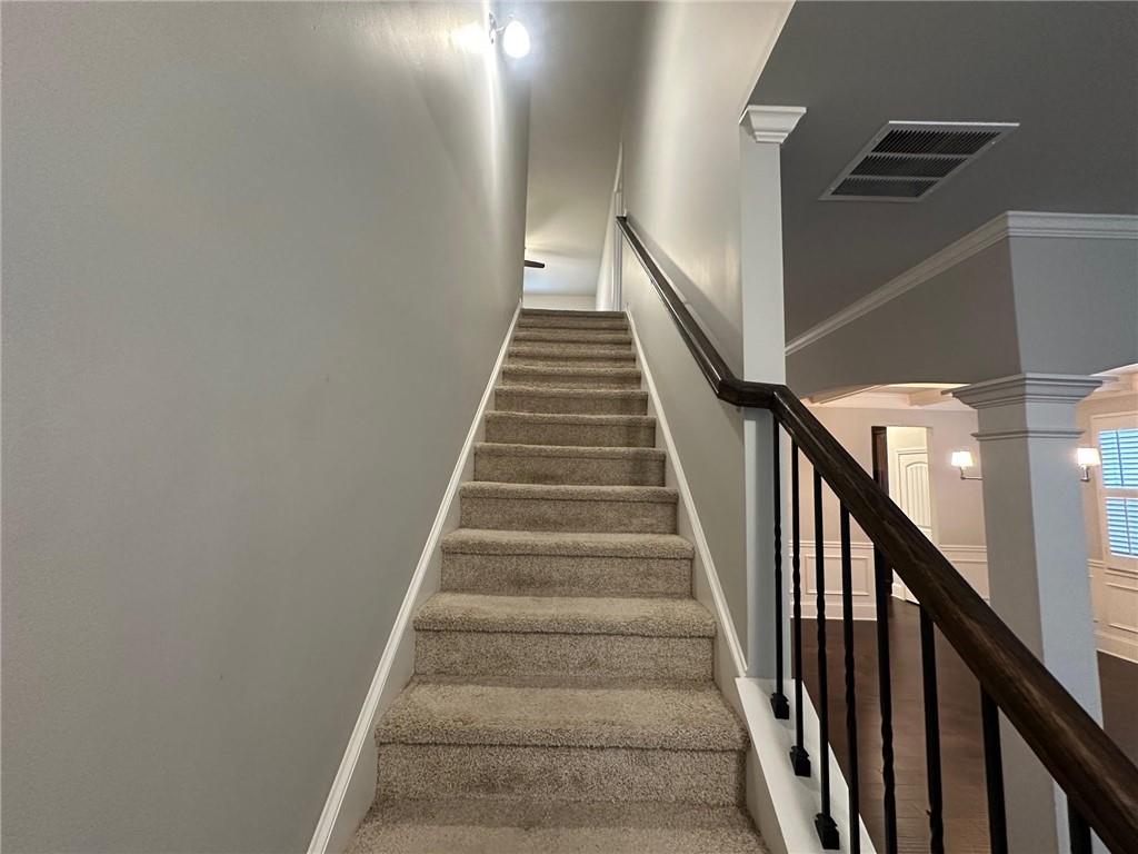 623 Little Bear Loop