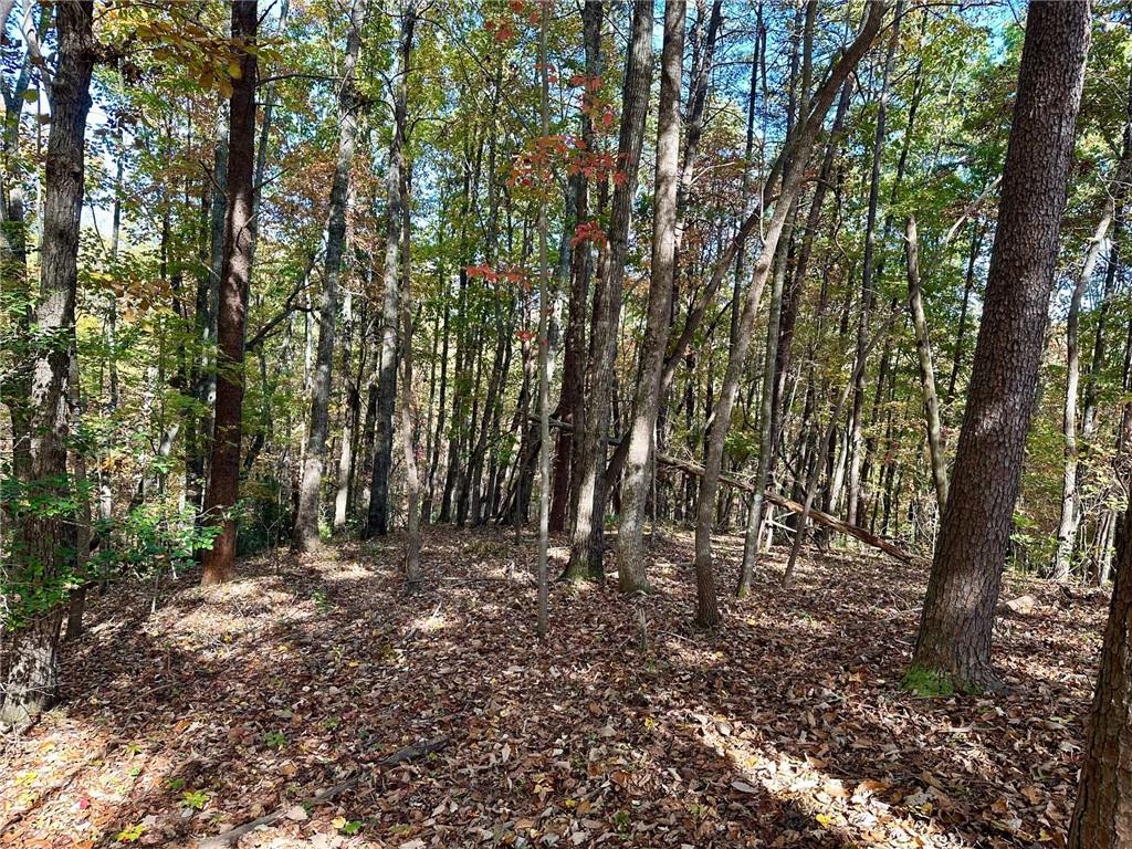 133 Hope Drive, Dawsonville, Georgia image 4
