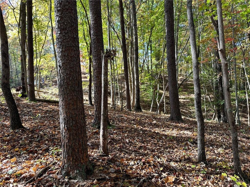 133 Hope Drive, Dawsonville, Georgia image 7