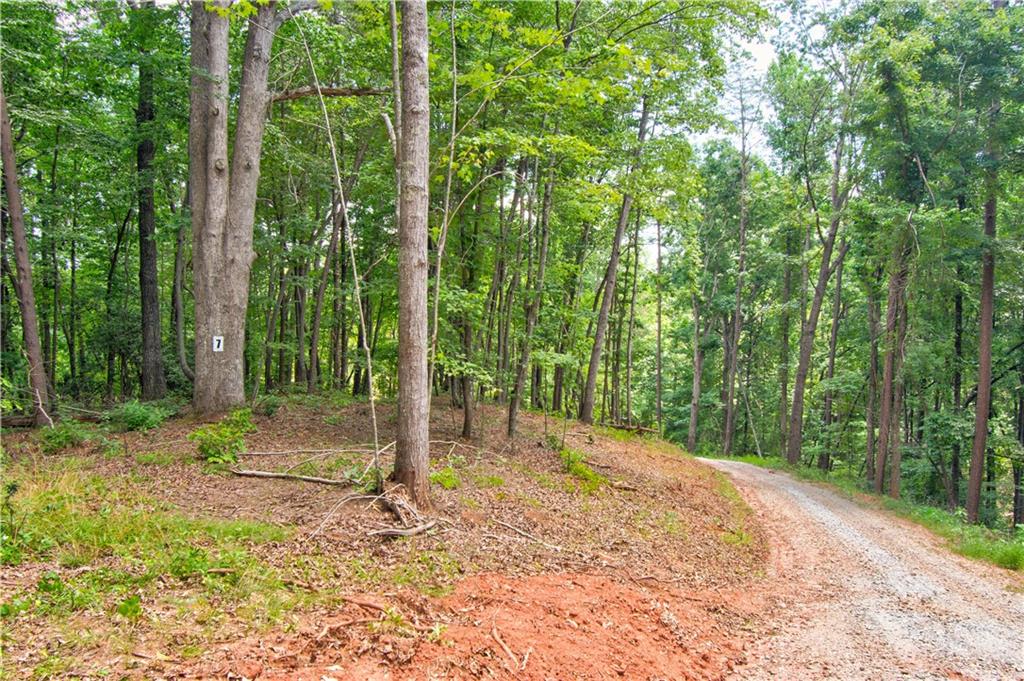 133 Hope Drive, Dawsonville, Georgia image 1