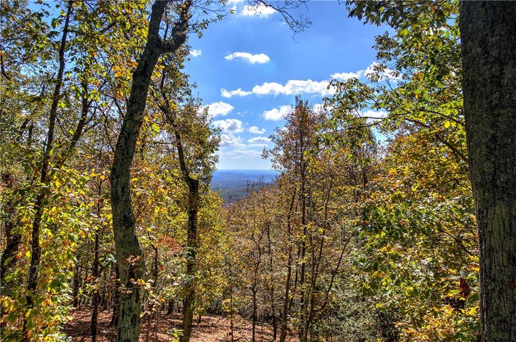 Bent Tree - Residential