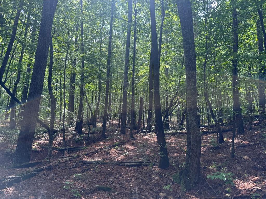 0 Turner Rd