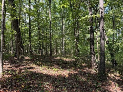 348 A Pat Rich Drive Canton GA 30115