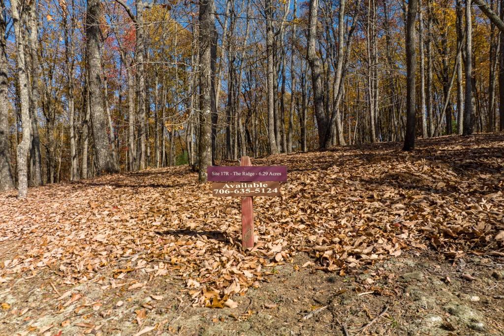 19R Settlement Trail, Ellijay, Georgia image 24