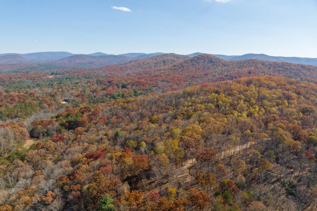 19R Settlement Trail, Ellijay, Georgia image 12