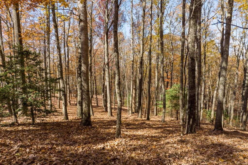 19R Settlement Trail, Ellijay, Georgia image 26