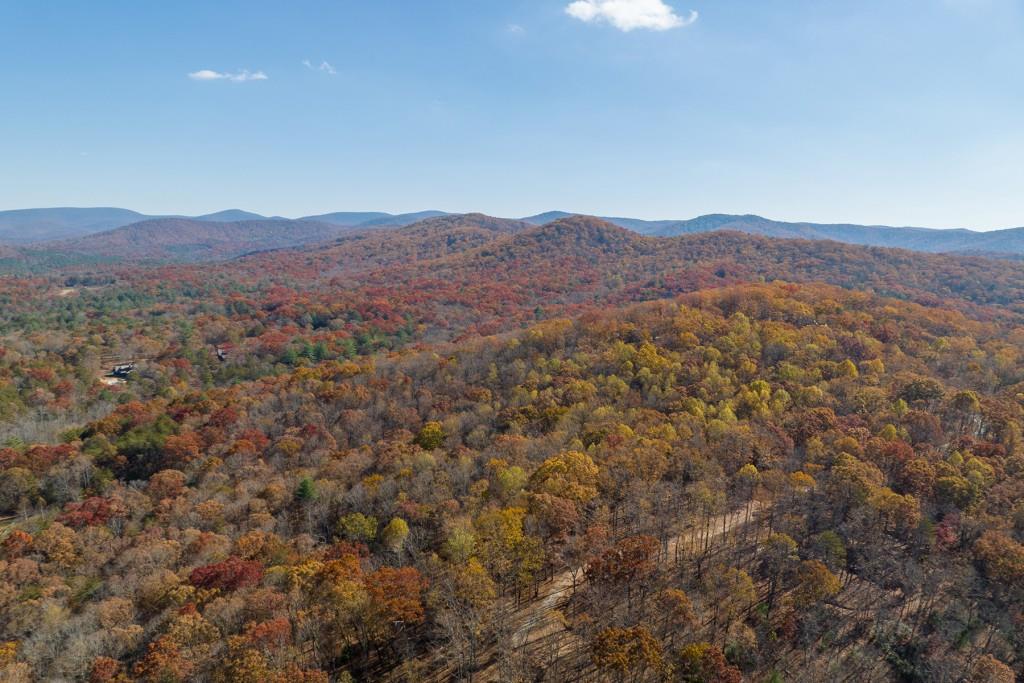 19R Settlement Trail, Ellijay, Georgia image 14