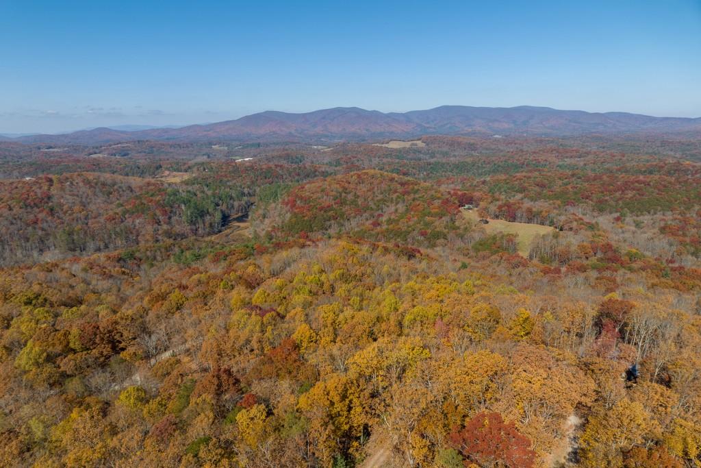 19R Settlement Trail, Ellijay, Georgia image 18