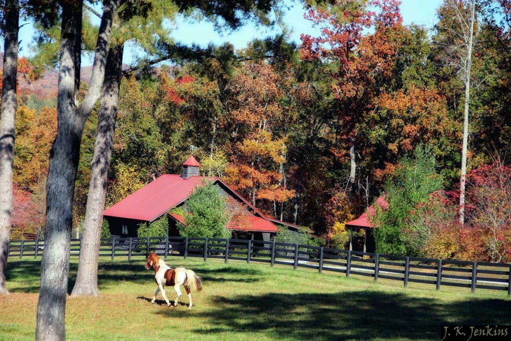 19R Settlement Trail, Ellijay, Georgia image 31