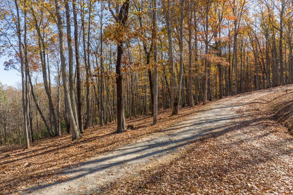 19R Settlement Trail, Ellijay, Georgia image 9