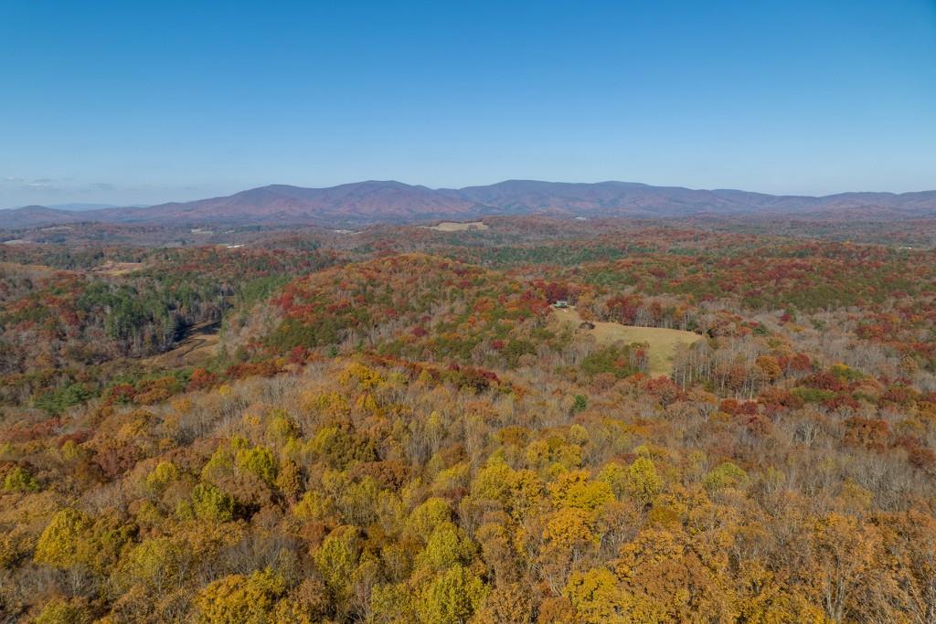 19R Settlement Trail, Ellijay, Georgia image 17