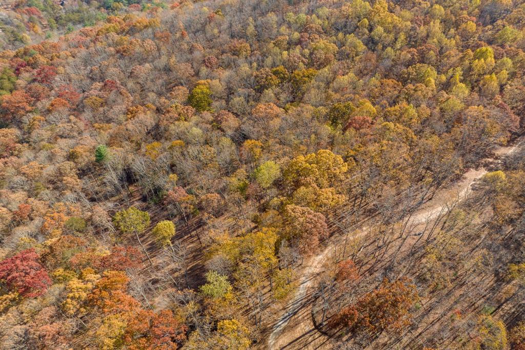 19R Settlement Trail, Ellijay, Georgia image 11