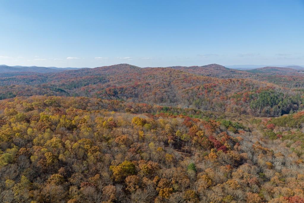 19R Settlement Trail, Ellijay, Georgia image 21