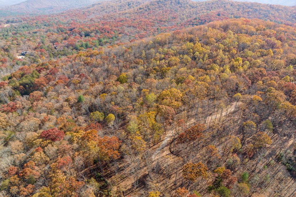 19R Settlement Trail, Ellijay, Georgia image 13