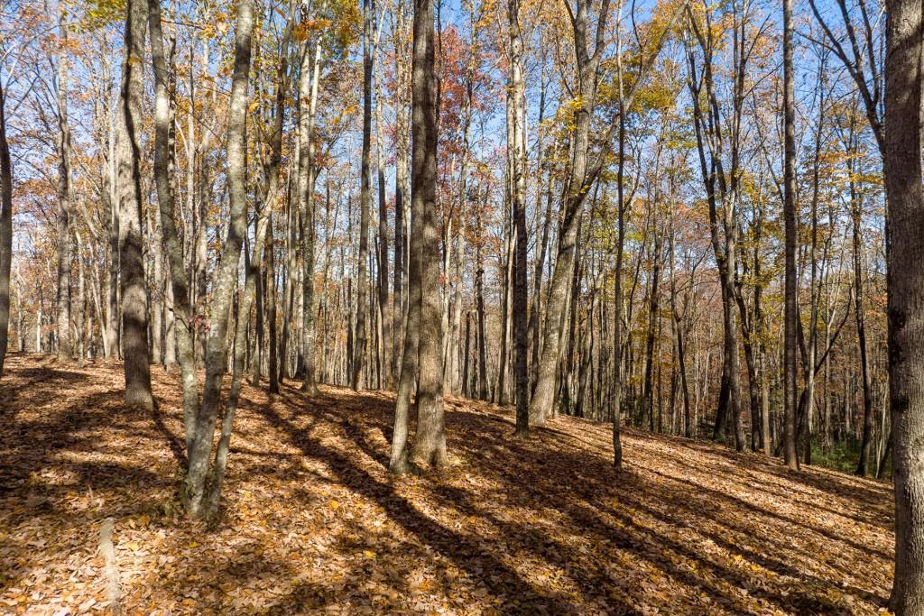 19R Settlement Trail, Ellijay, Georgia image 8