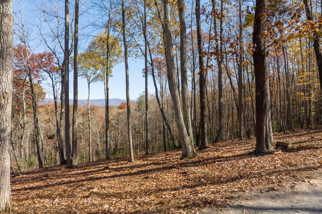 19R Settlement Trail, Ellijay, Georgia image 2