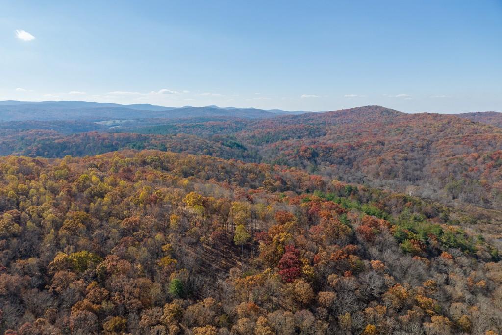 19R Settlement Trail, Ellijay, Georgia image 16