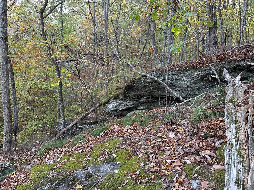 1806 Browning Road, Rockmart, Georgia image 35