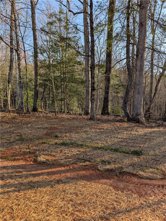135 Gum Creek Trail, Oxford, Georgia image 5